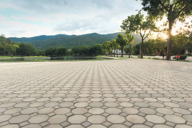 Best Decorative Driveway Pavers  in Whiting, WI